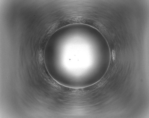 X0000066491107200603201250