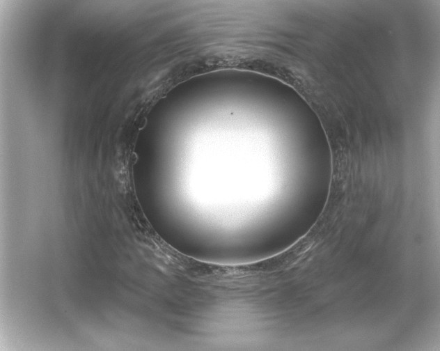 X0000066491109200603201250