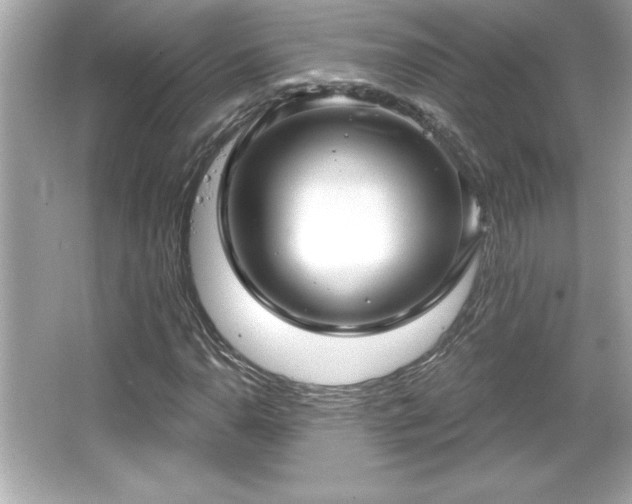 X0000066491110200603201250