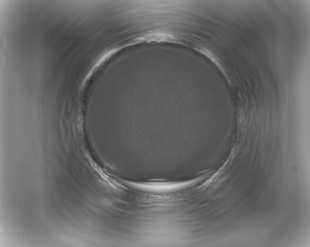 X0000066491115200603201250