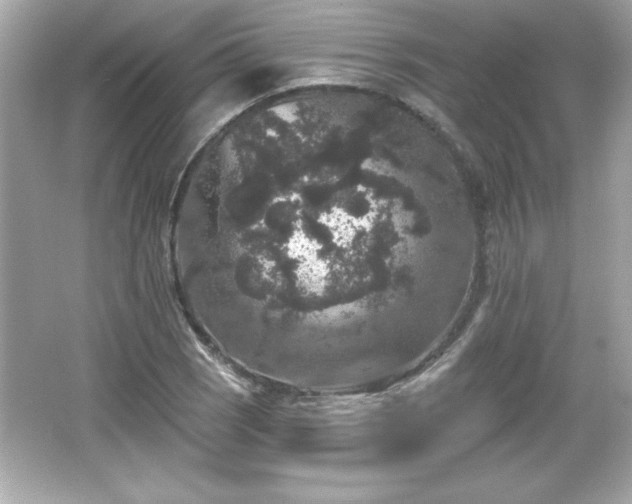 X0000066491121200603201250