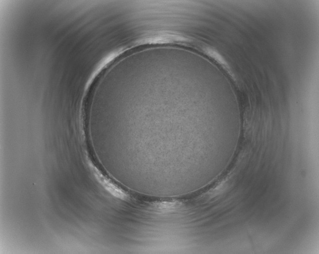 X0000066491122200603201250
