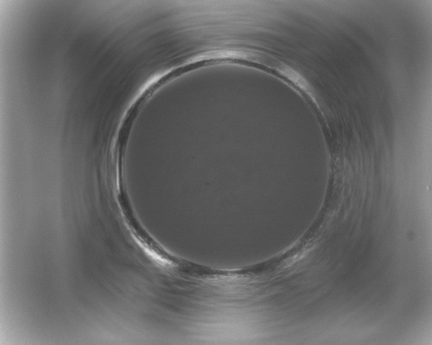 X0000066491127200603201250
