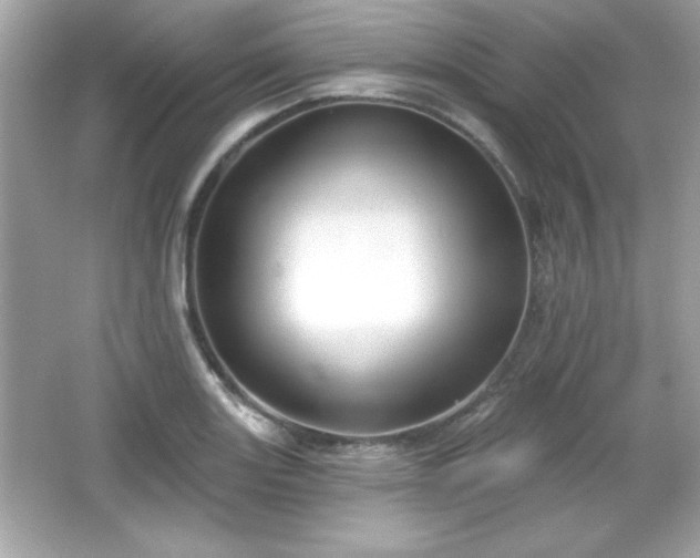 X0000066491131200603201250