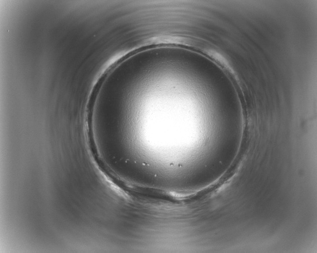 X0000066491133200603201250