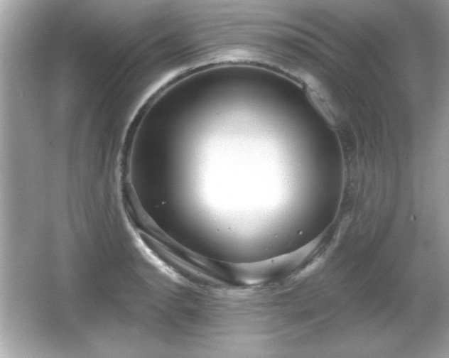 X0000066491134200603201250