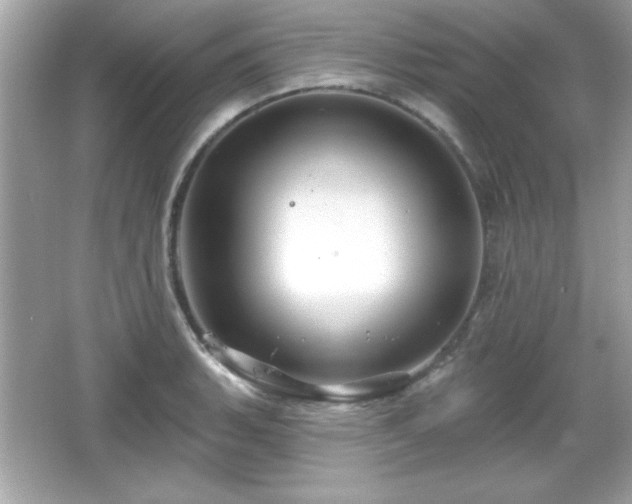 X0000066491135200603201250