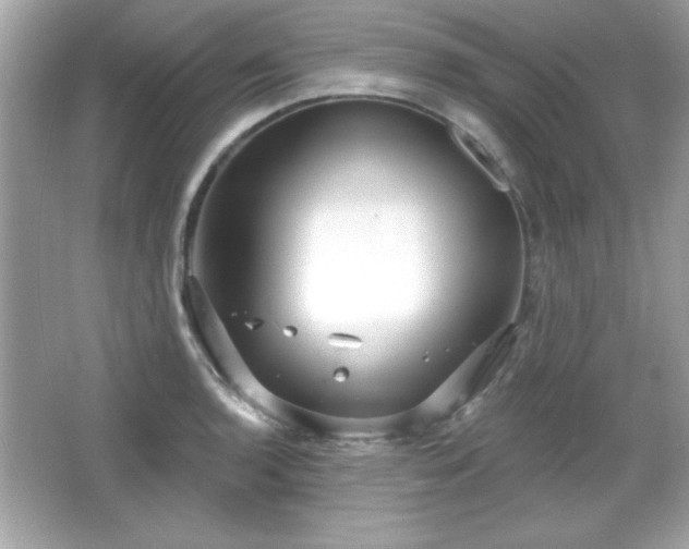 X0000066491136200603201250