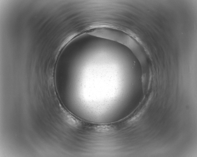 X0000066491137200603201250