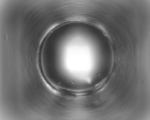 X0000066491139200603201250
