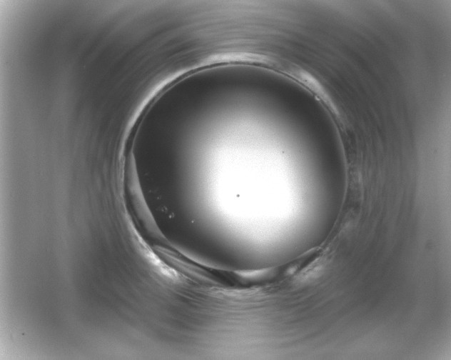 X0000066491140200603201250