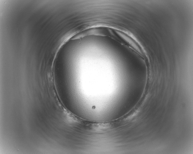 X0000066491145200603201250
