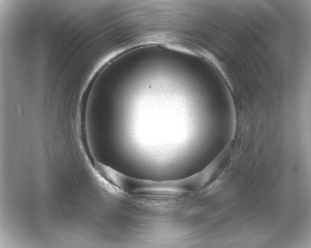 X0000066491147200603201250