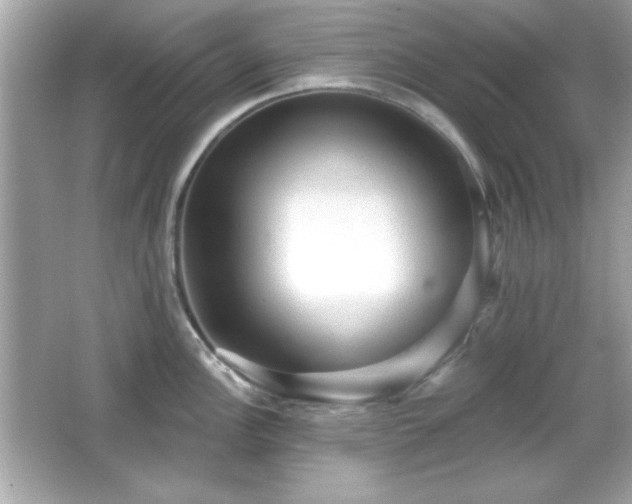X0000066491148200603201250