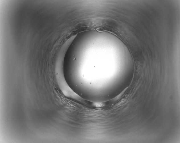 X0000066491153200603201249