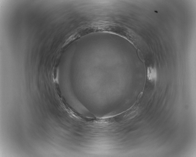 X0000066491155200603201249