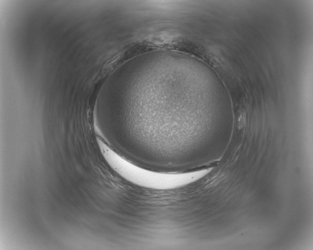 X0000066491156200603201249