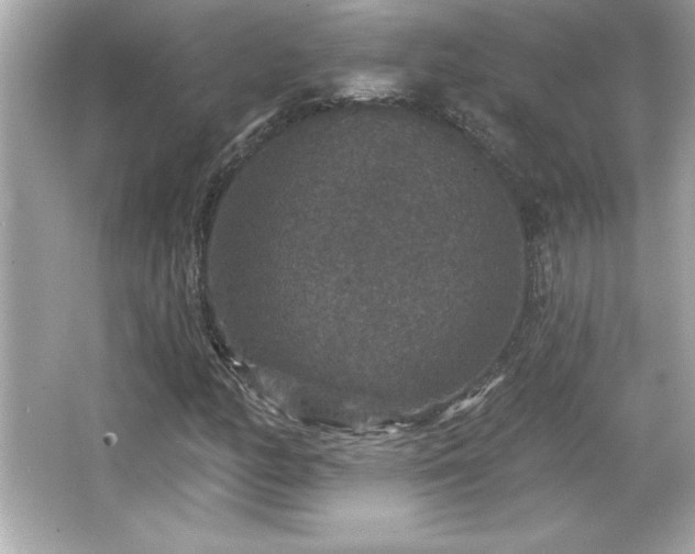 X0000066491158200603201249