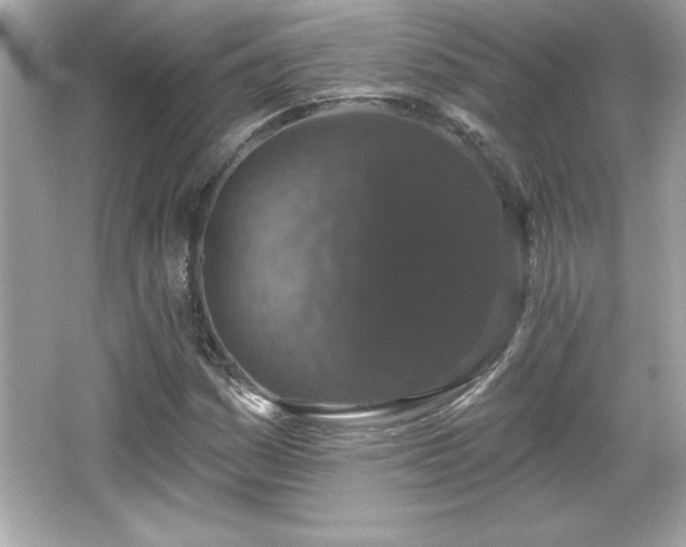 X0000066491161200603201249