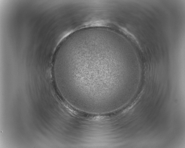 X0000066491166200603201249