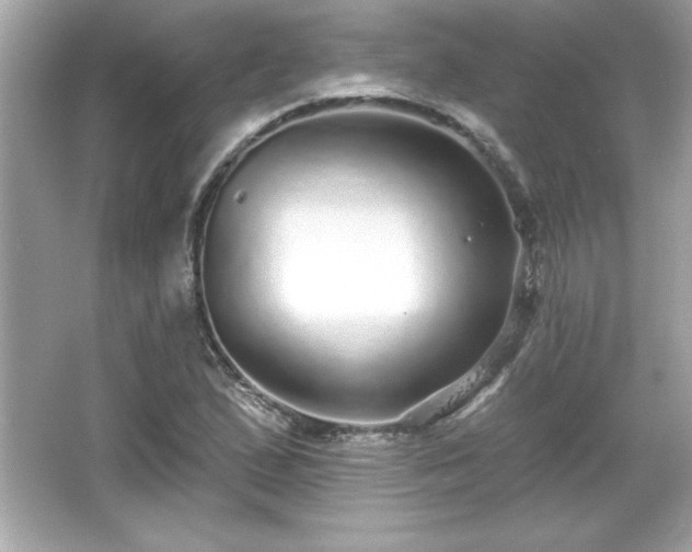 X0000066491167200603201249