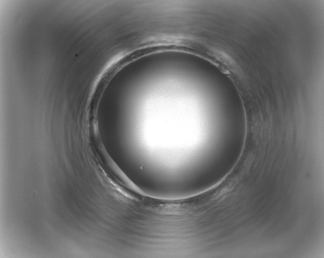 X0000066491172200603201249