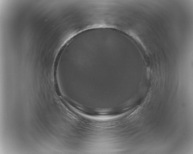 X0000066491173200603201249