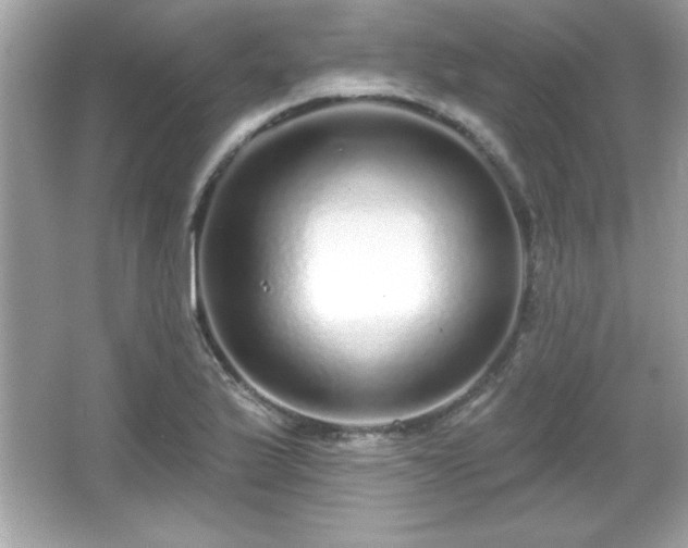 X0000066491175200603201249