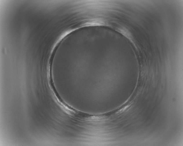 X0000066491179200603201249