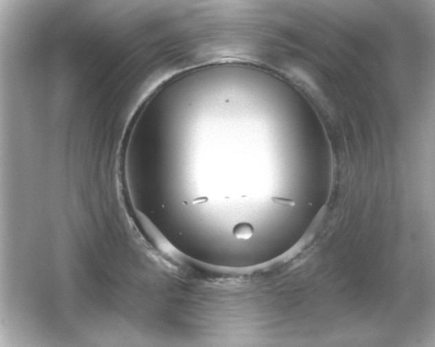 X0000066491182200603201249