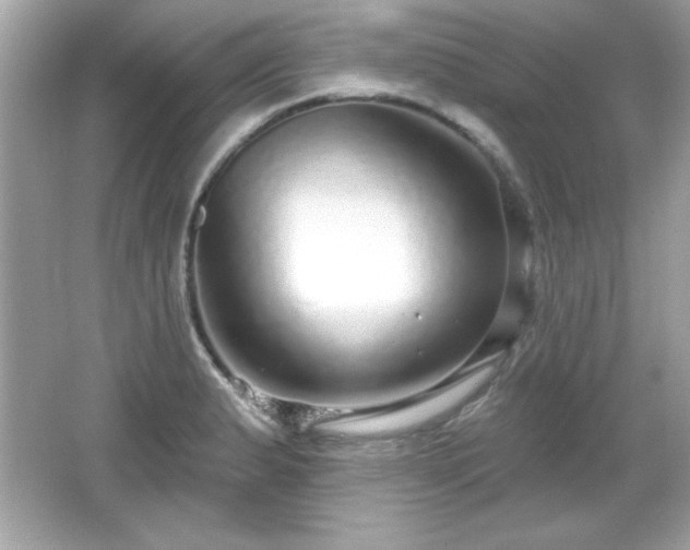 X0000066491183200603201249
