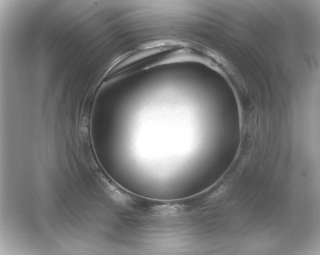 X0000066491185200603201249