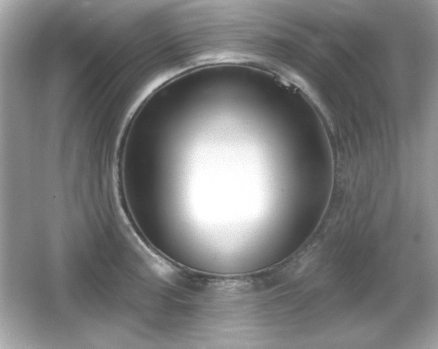 X0000066491187200603201249