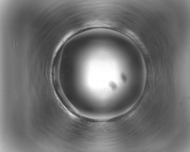 X0000066491188200603201249