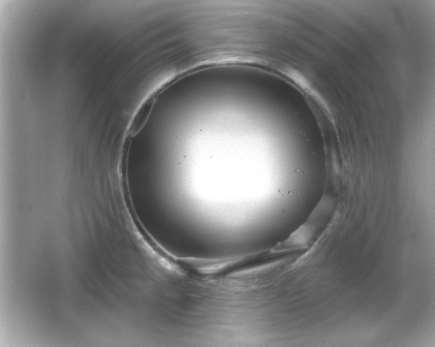 X0000066491189200603201249