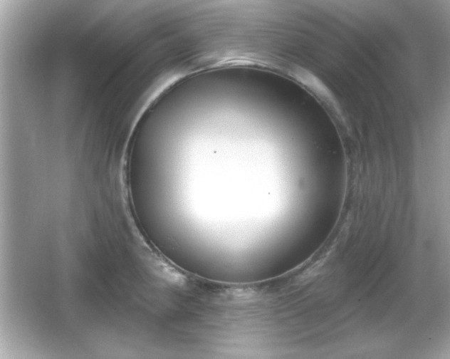 X0000066491190200603201249