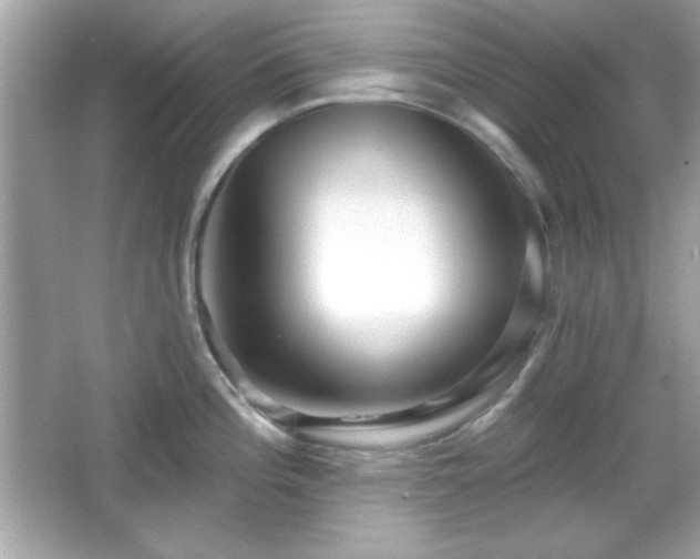 X0000066491196200603201249