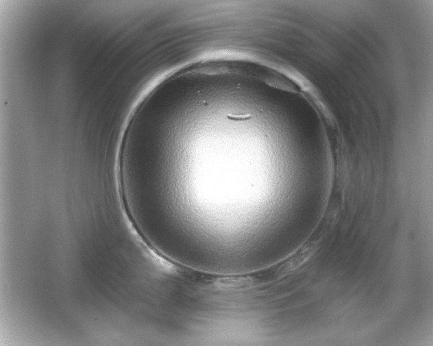 X0000066491199200603201249