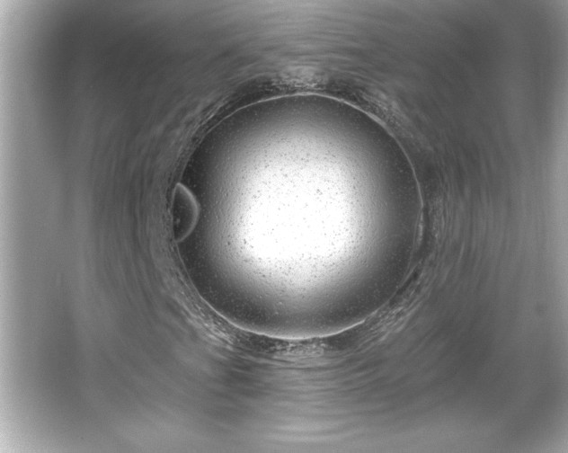 X0000066491201200603201248