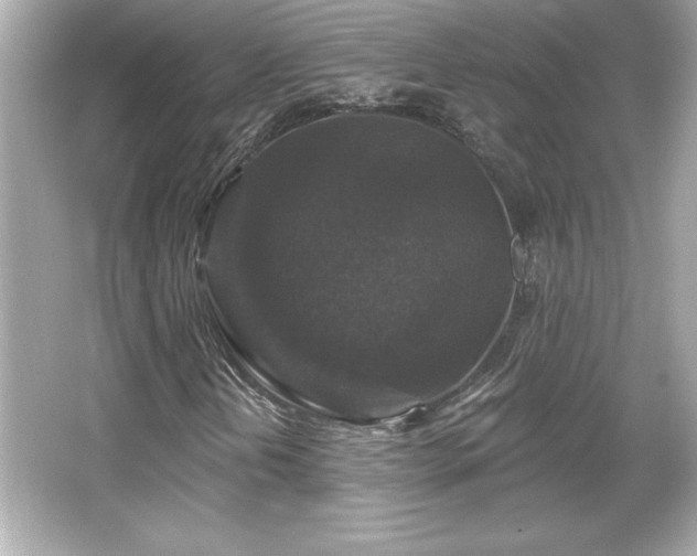 X0000066491202200603201248
