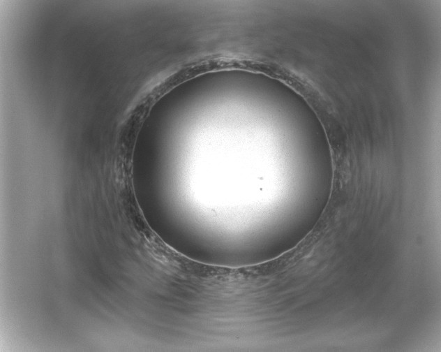 X0000066491207200603201248