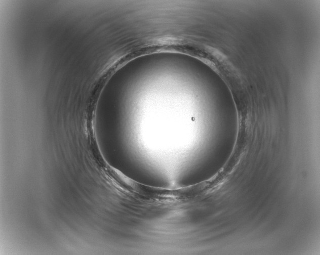 X0000066491209200603201248