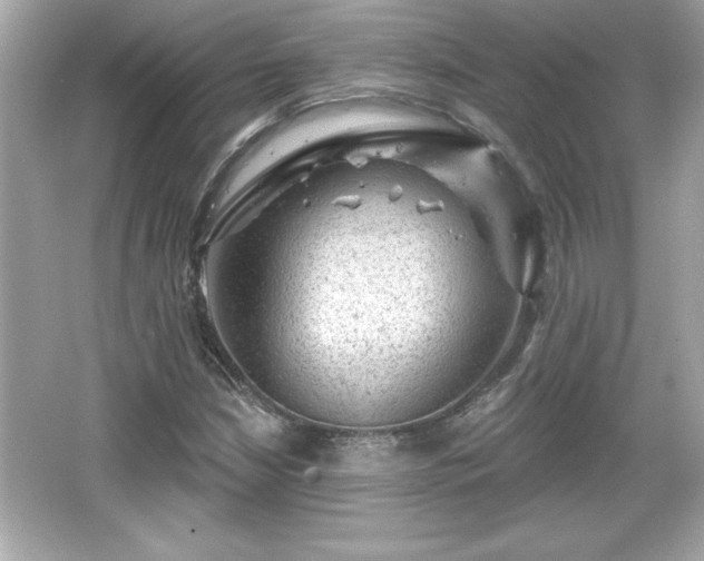 X0000066491210200603201248