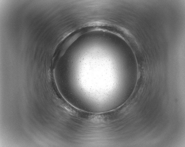 X0000066491217200603201248