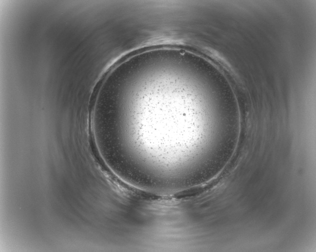 X0000066491220200603201248