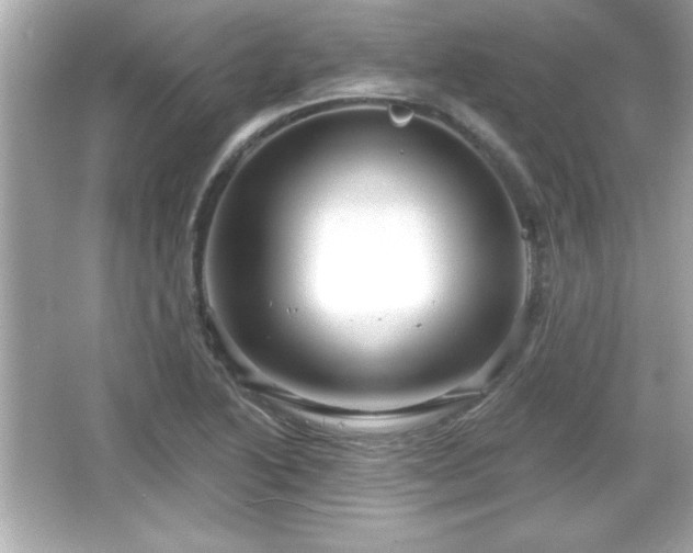 X0000066491222200603201248