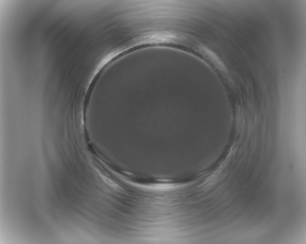 X0000066491226200603201248