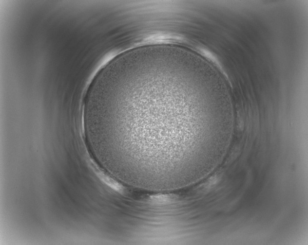 X0000066491227200603201248