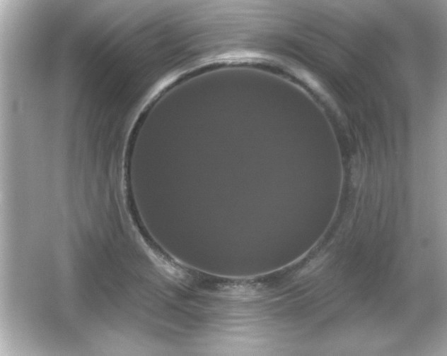 X0000066491229200603201248