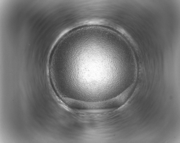 X0000066491232200603201248